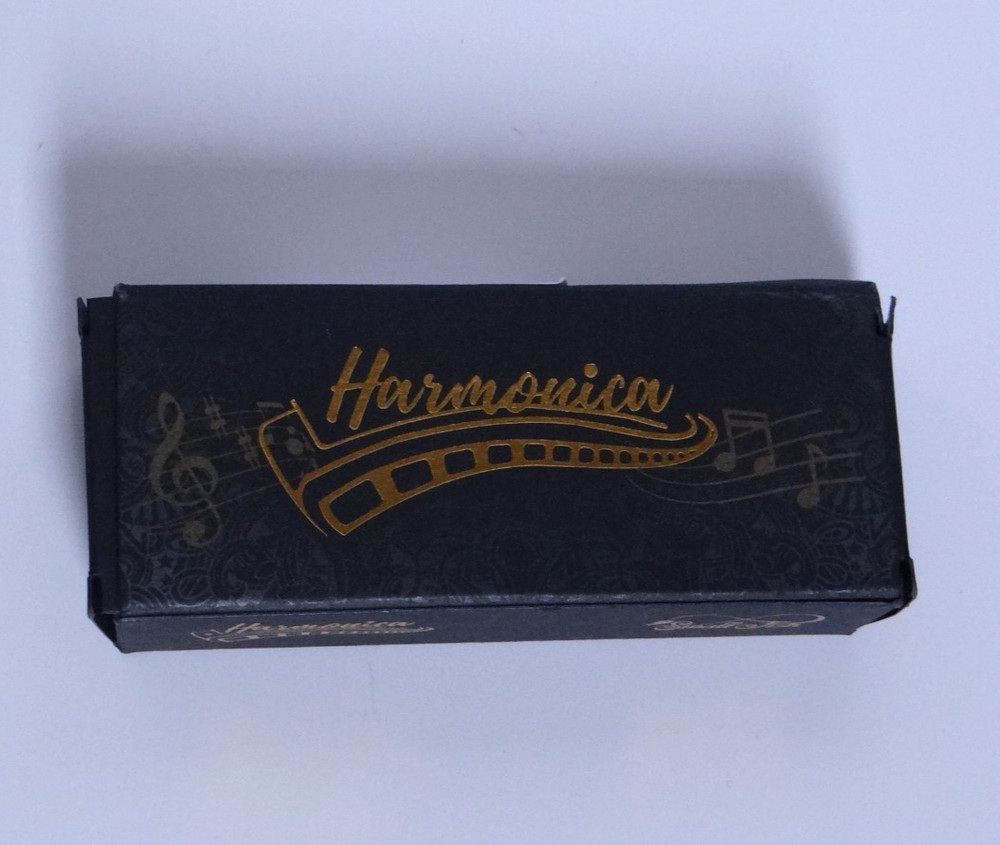 Small Fish Harmonica 10 Hole Diatonic Harmonica w/Pouch And Cleaning Cloth *NIB*