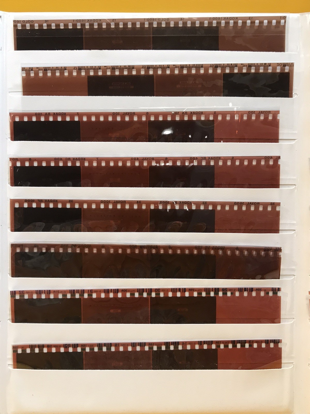 Printer Setup Test 35mm Negatives Aperion Inc. Bullseye Set