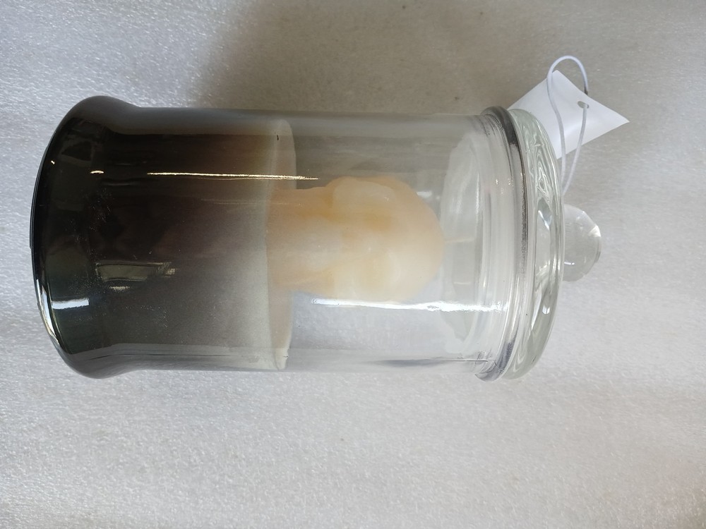 Bizarre Beaker 12.7 oz Skull Candle