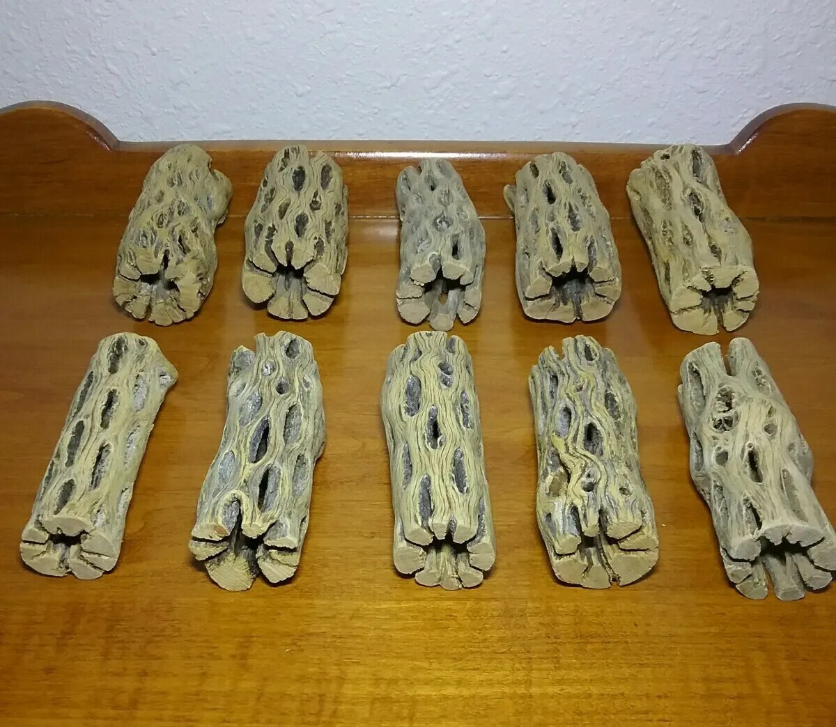 20 pieces CHOLLA Wood 3" L (~1" thick) | CLEANED! | Shrimp Aquarium, Air Plant