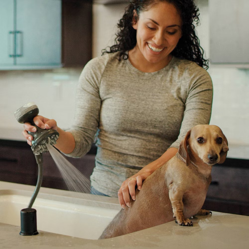 PawSpa PetJetPro 11-Setting Handheld Pet Washer - Gray