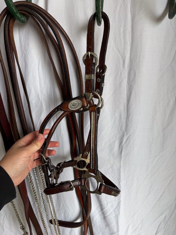 Circle Y Show Halter - Yearling/Pony Sized