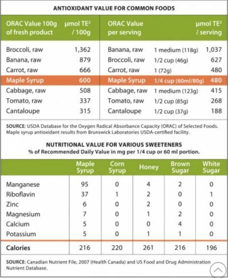 Maple sugar candy in decorative tin 1 lbs. 1/2 lbs.