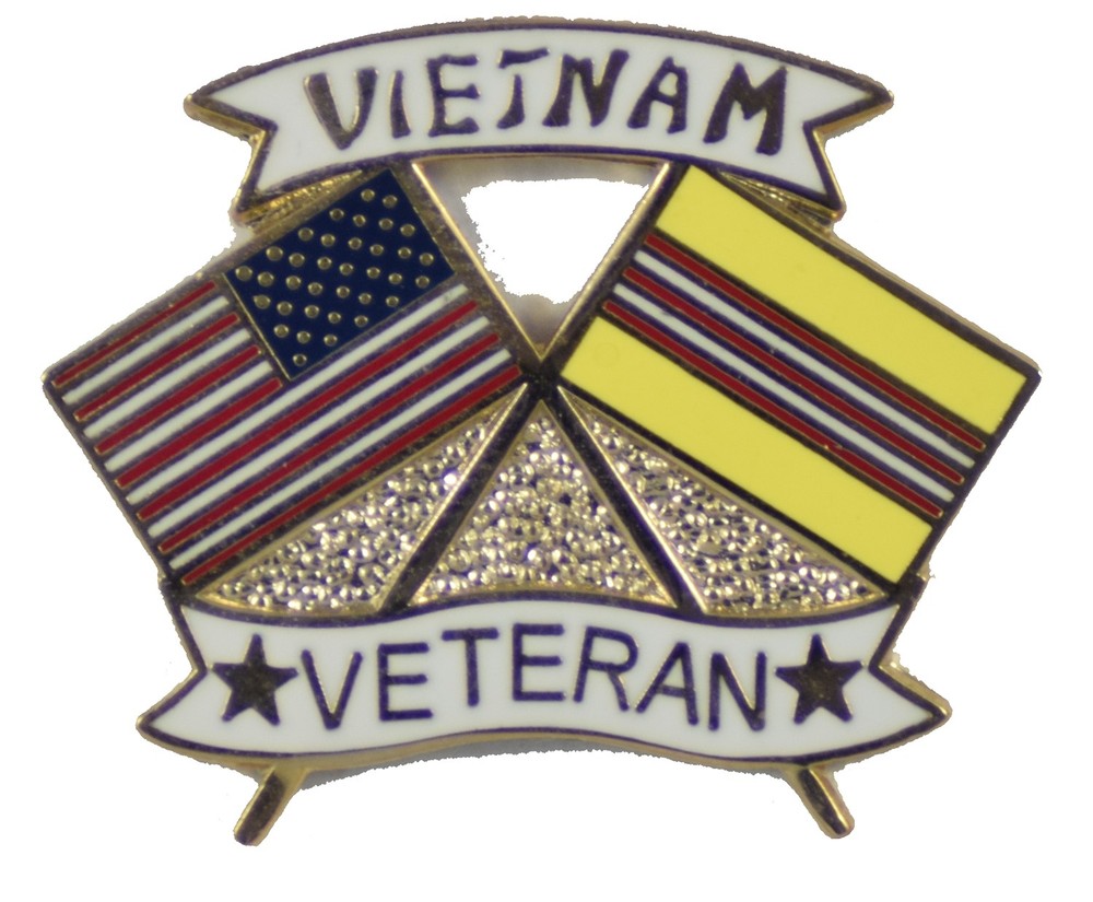VIETNAM VETERAN HAT PIN