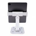 StarTech Adjustable Tablet Stand for Desk - Wall Mountable - Capacity 2.2lb (1kg