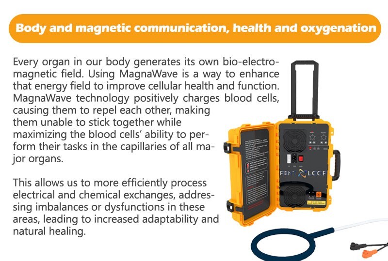 Hot US Warehouse PEMF PMST Loop Magnetic Therapy Machine Ship Fast