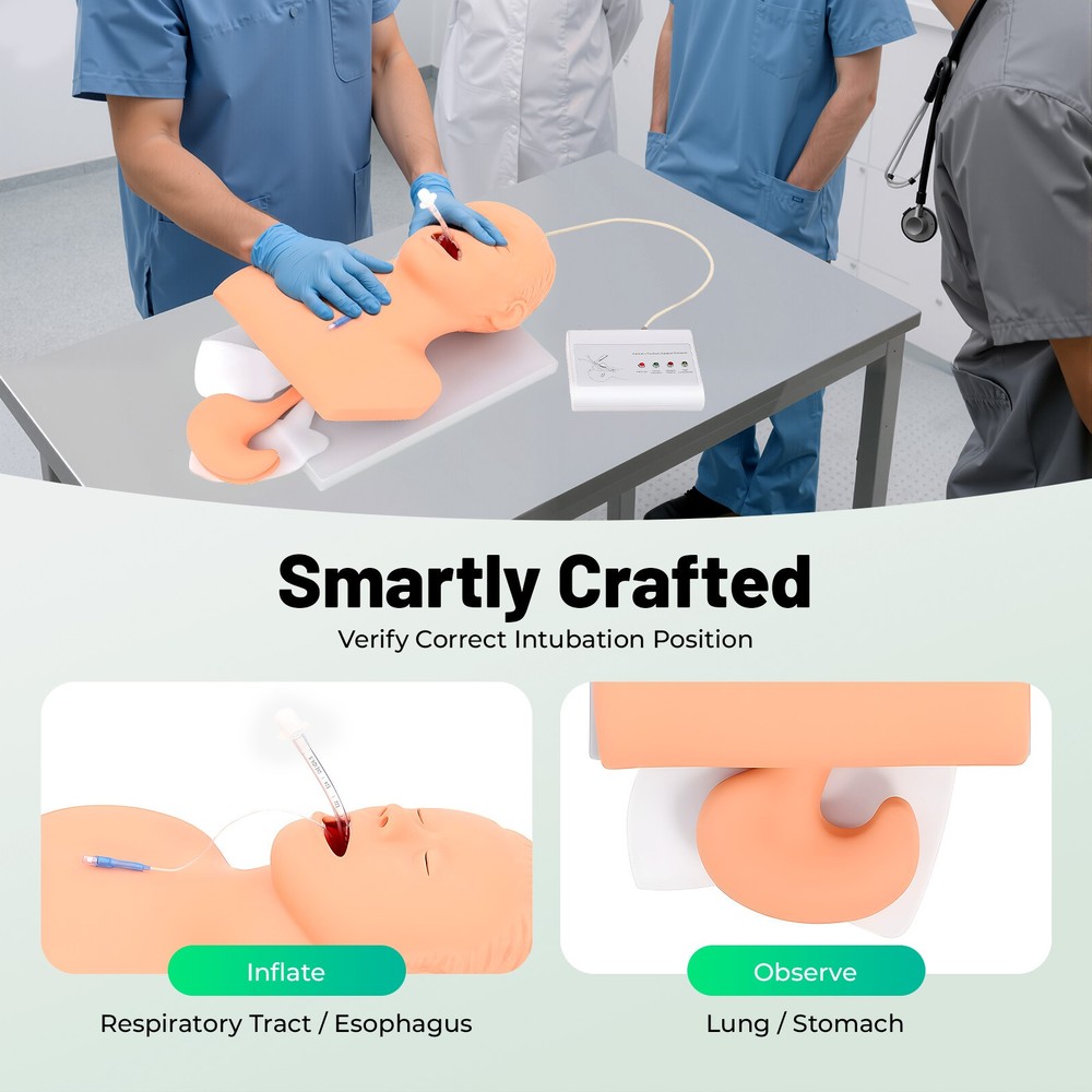 Intubation Manikin Study Teaching Simulator Airway Management Trainer Model