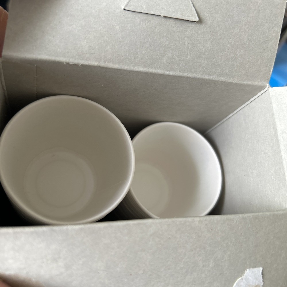 Dixie 3 oz Bath Cups Disposable Paper Bathroom Sea Shells Beach Open Box