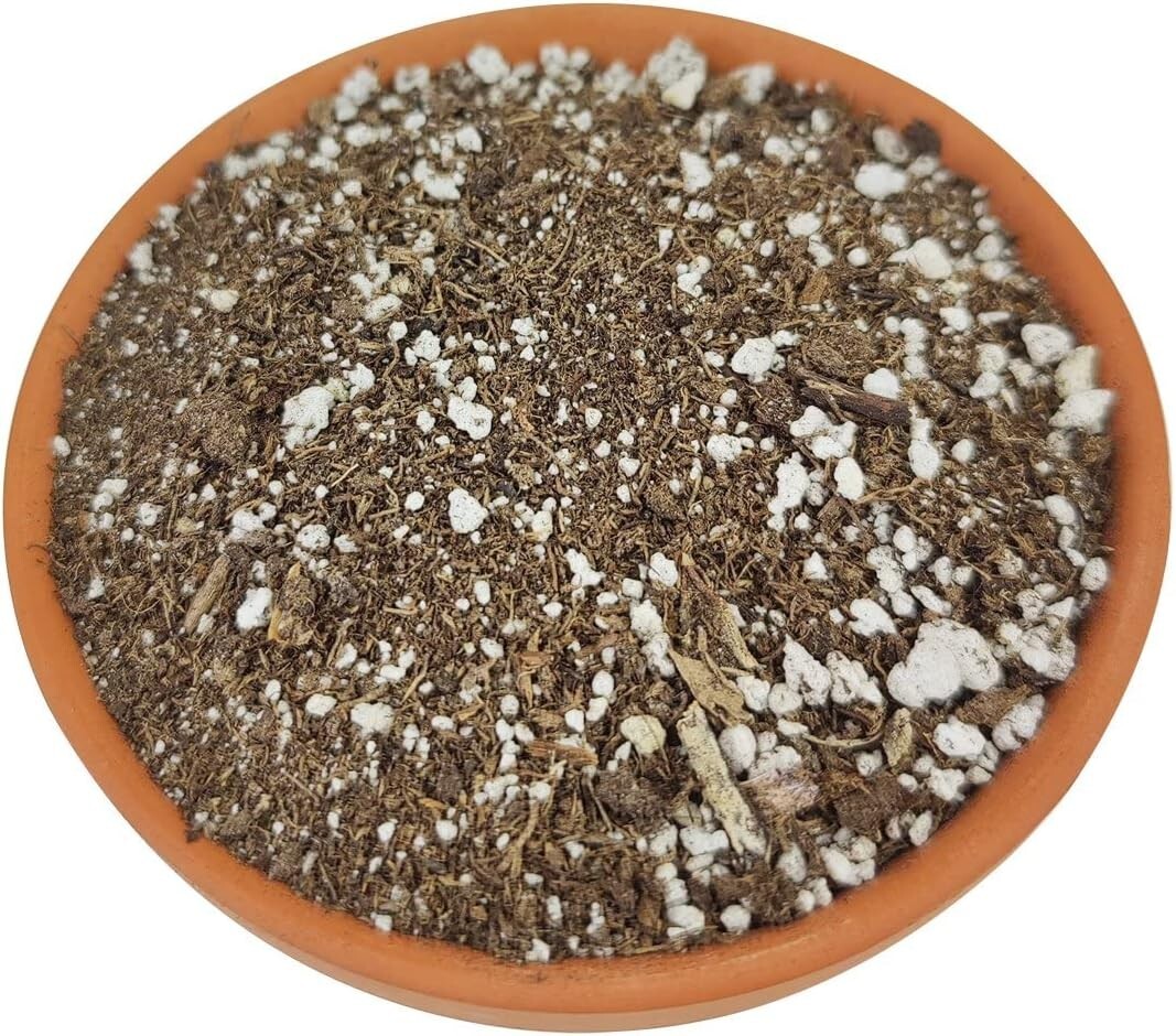 Succulent & Cactus Plant Potting Soil Mix Peat Moss & Perlite, 1 quart - 4 gal