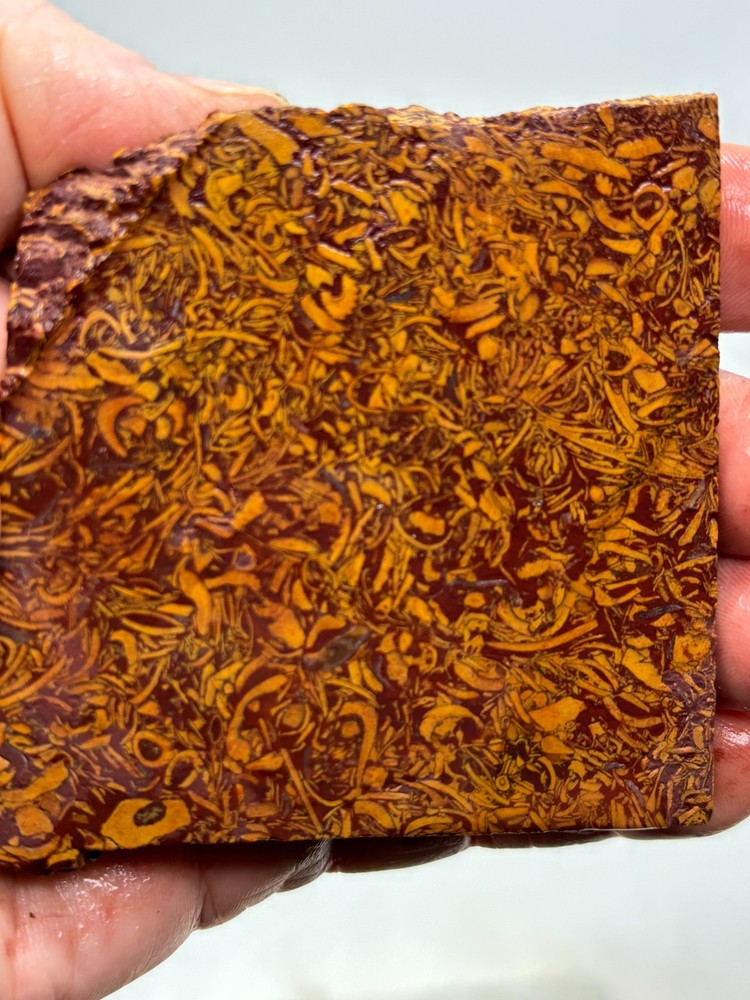 Script Stone Jasper Slab Cabbing Lapidary Collecting Combo Ship Avail