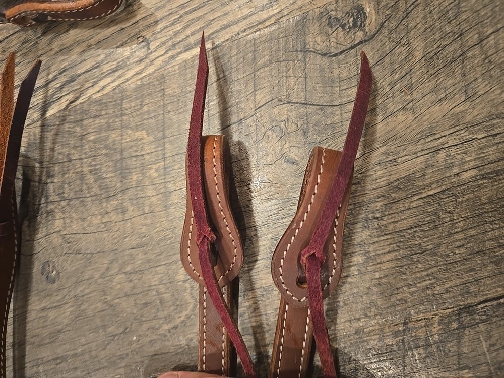 western bridle and reins