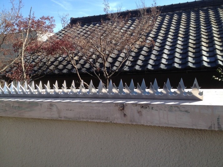 Shinobi GizaGiza Heart Stainless Steel Ninja Deterrent Security Fence Spikes JP