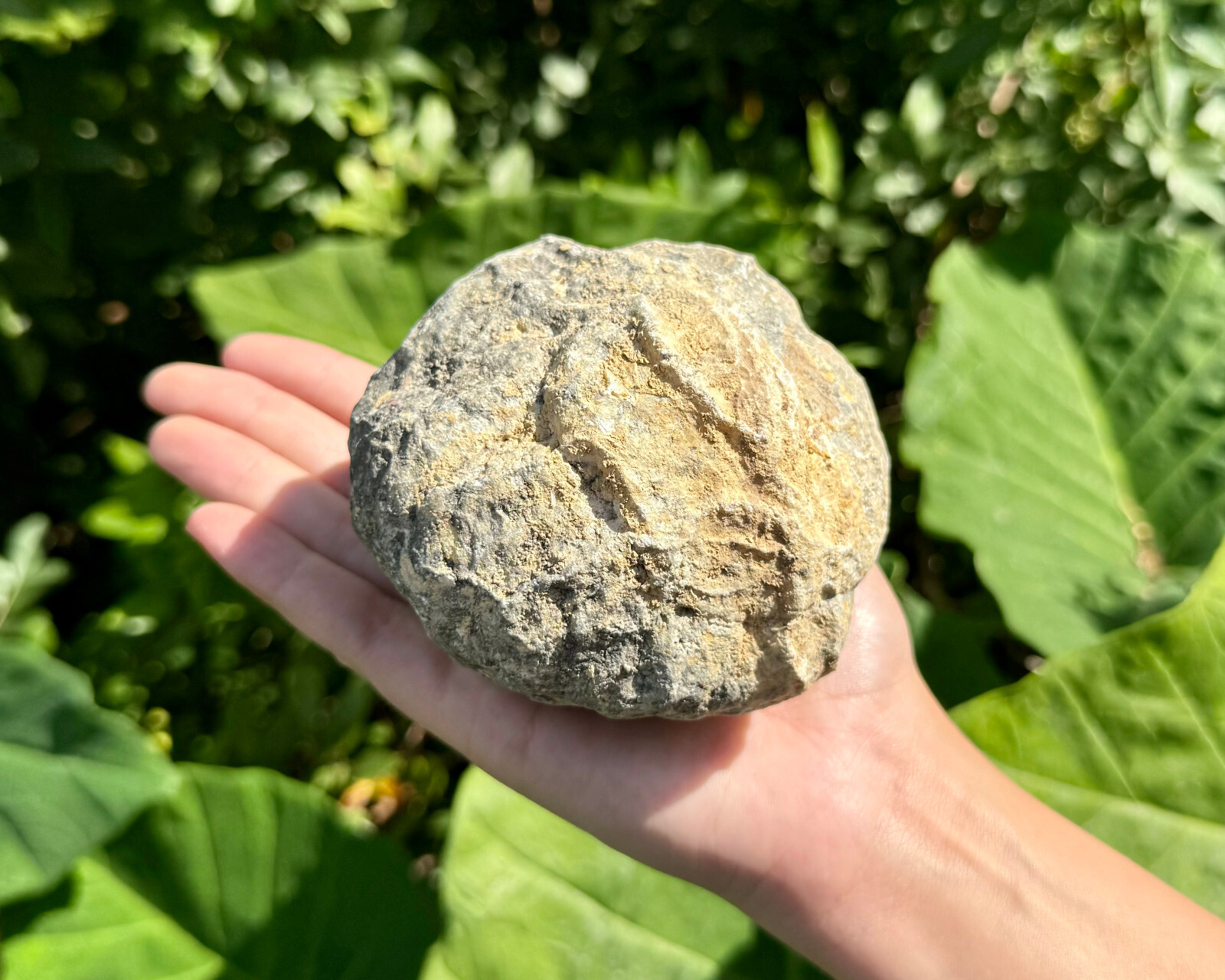 JUMBO Break Your Own Geodes Wholesale Lots - Unopened Moroccan Calcite Crystals