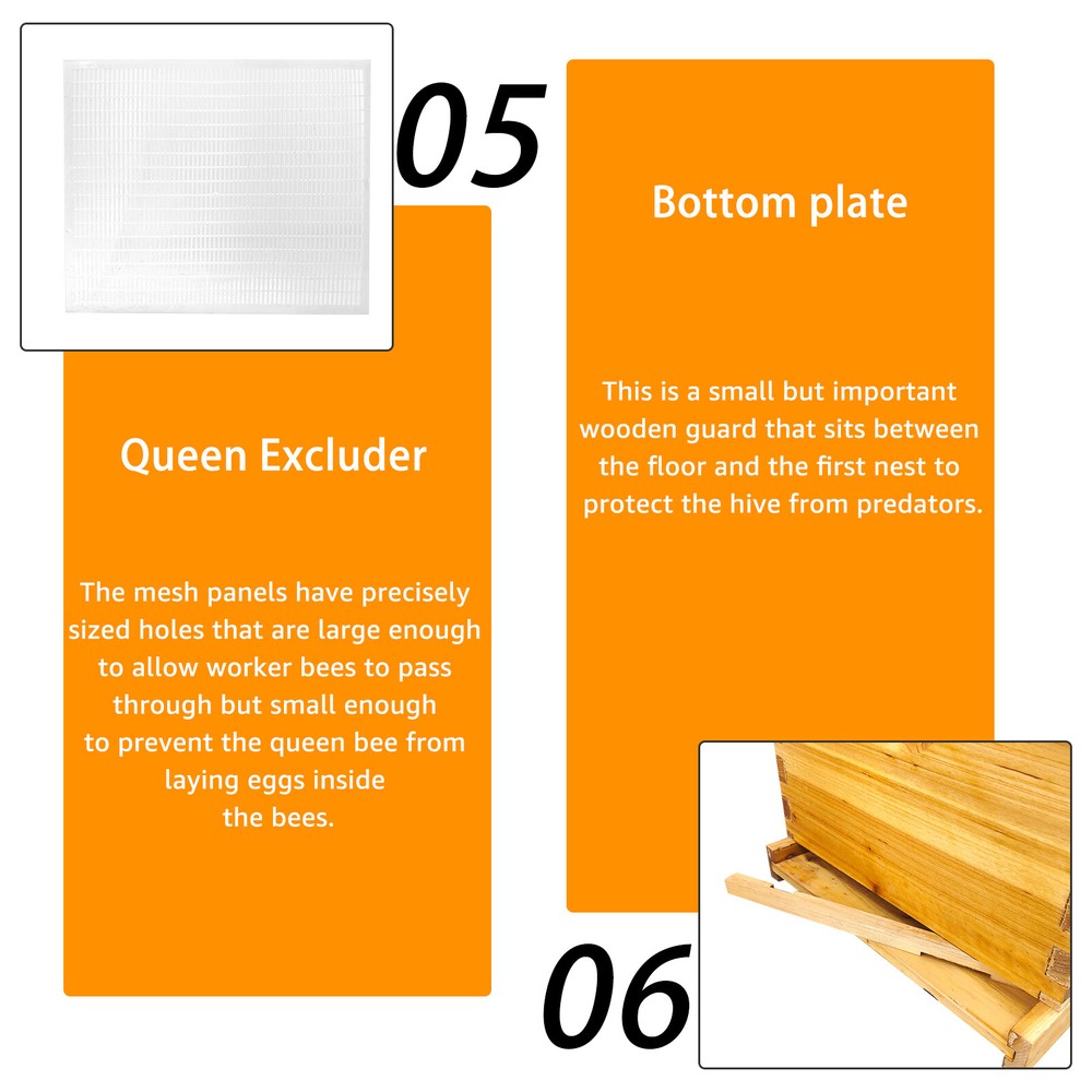 5-Layer Langstroth Bee Hive Beginner-Friendly Beehive Starter Kit
