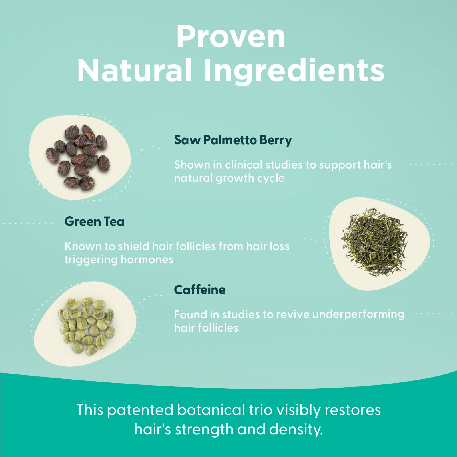 Shapiro MD Patented Hair Loss Kit for Thicker, Fuller, Healthier Hair