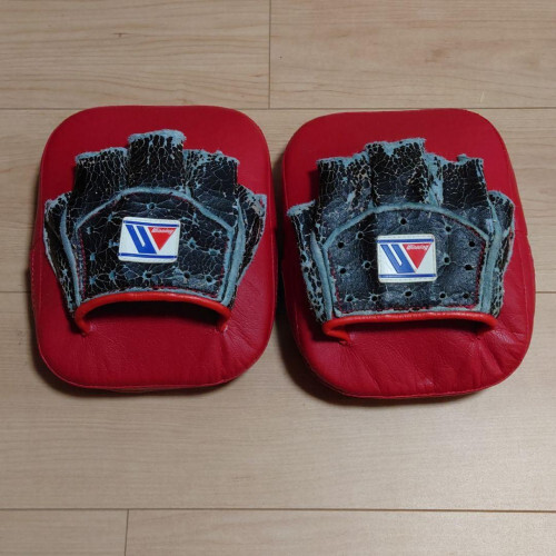Winning Punching Mitts