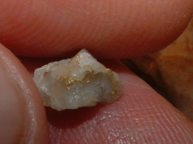 GOLD QUARTZ SPECIMEN .36 GRAM BLUE MTNS OREGON GOLD
