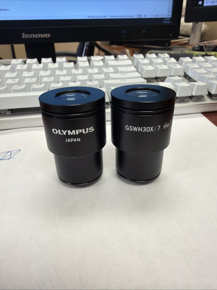 Olympus Microscope Eyepieces Pair (2) GSWH30X/7