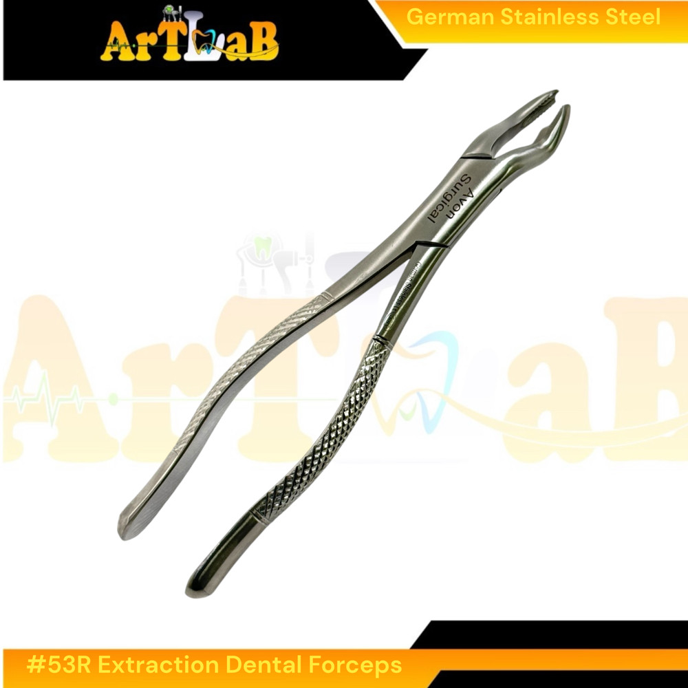 Right Upper First & Second Molar Extraction Forceps #53R, Serrated, 1pc