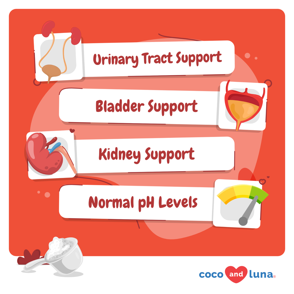 Cranberry for Cats Incontinence Support, Urinary Tract Support, Cat UTI, Bladder