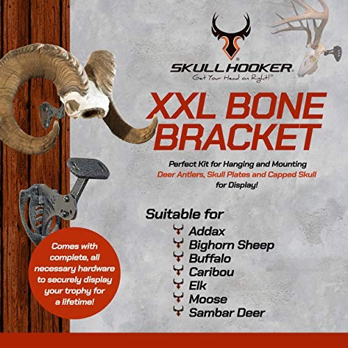 XXL Bone Bracket Large and XL Game One Size Graphite Black