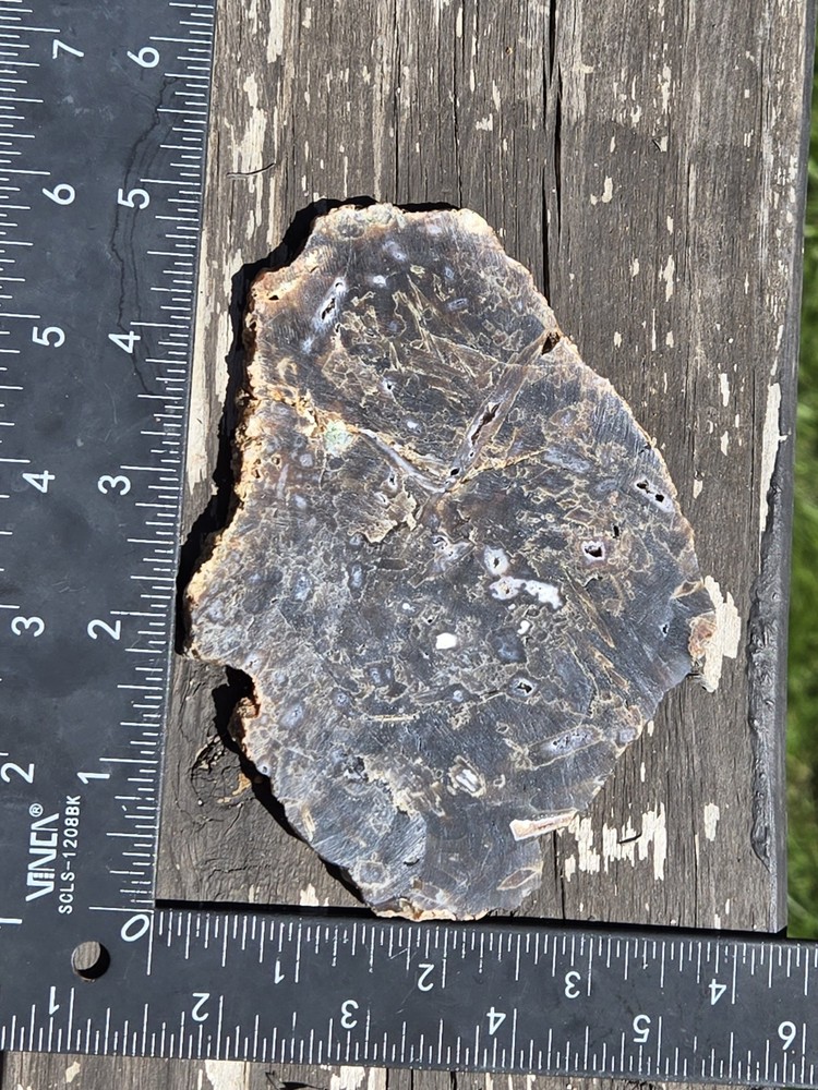 Turkish Stick Agate Slab Slice Lapidary Unique Ankara Turkey