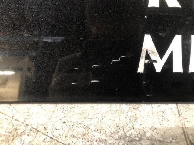 Freightliner CASCADIA Left/Driver Sleeper Door - Used