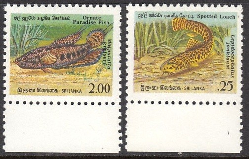 SRI LANKA 1990 FISH
