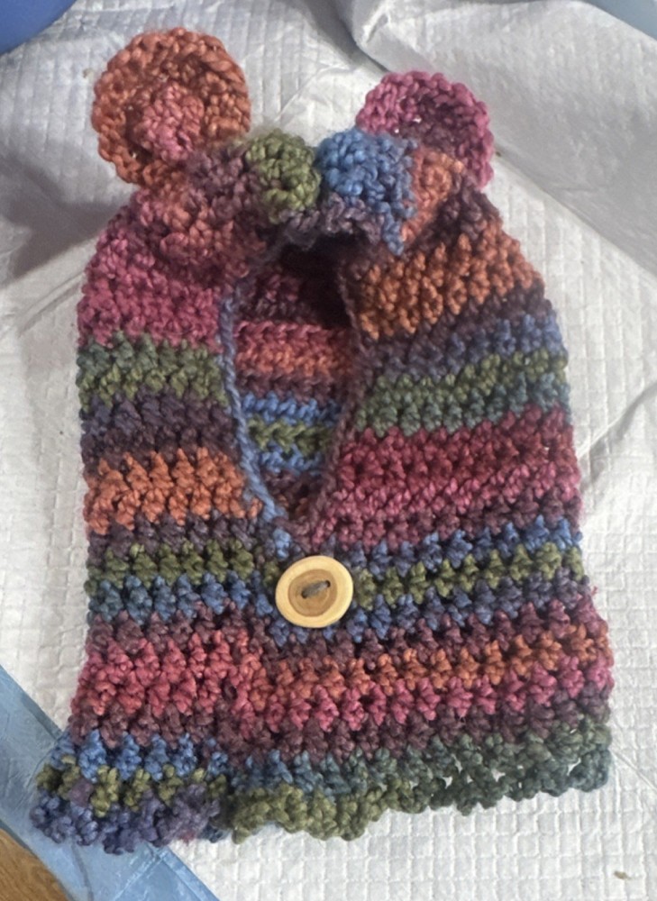 Handmade Multicolor Knit Hat with Bear Ears and Button Closure