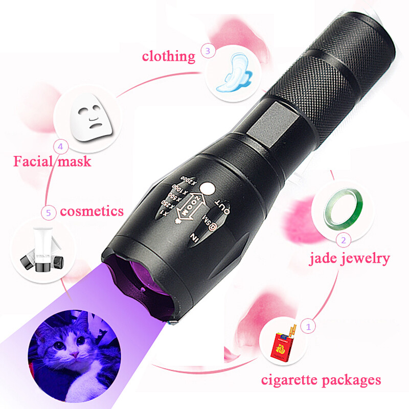 2 Pack UV Torch Ultra Violet+White Lights LED Flashlight Blacklight Lamp 2 Modes