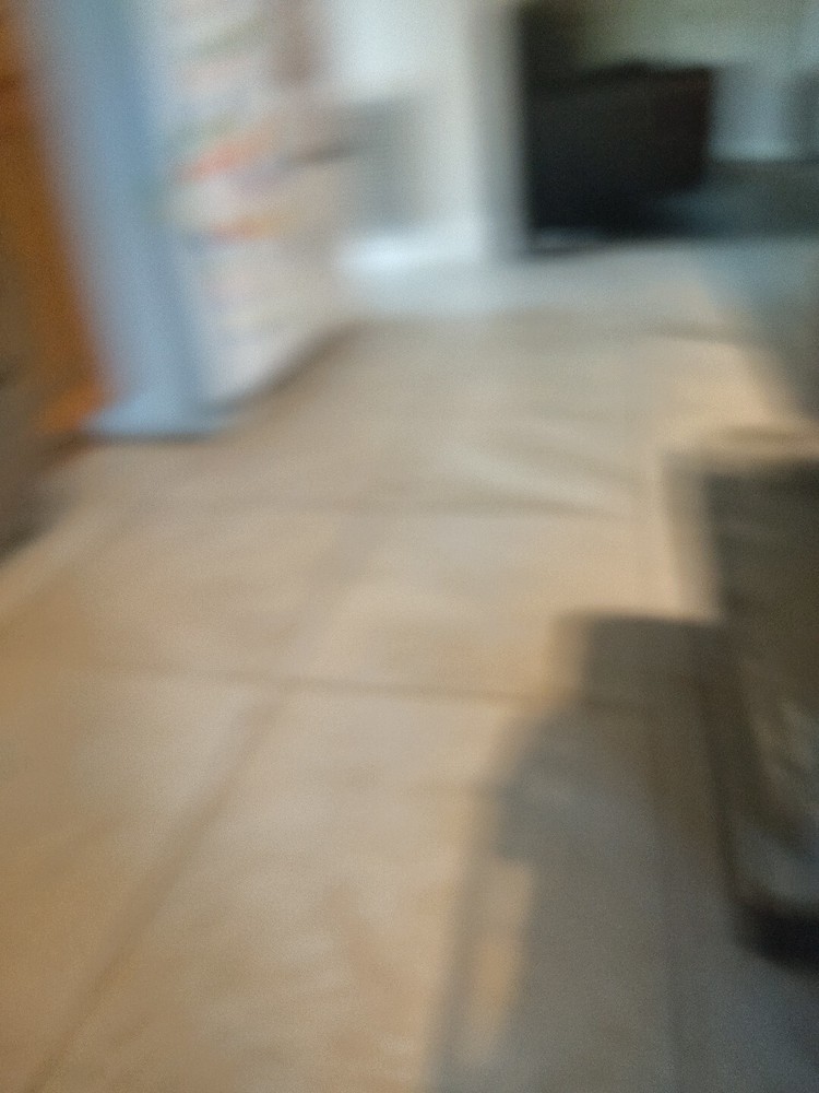 Regula West Germany Vintage Coo-Coo Clock