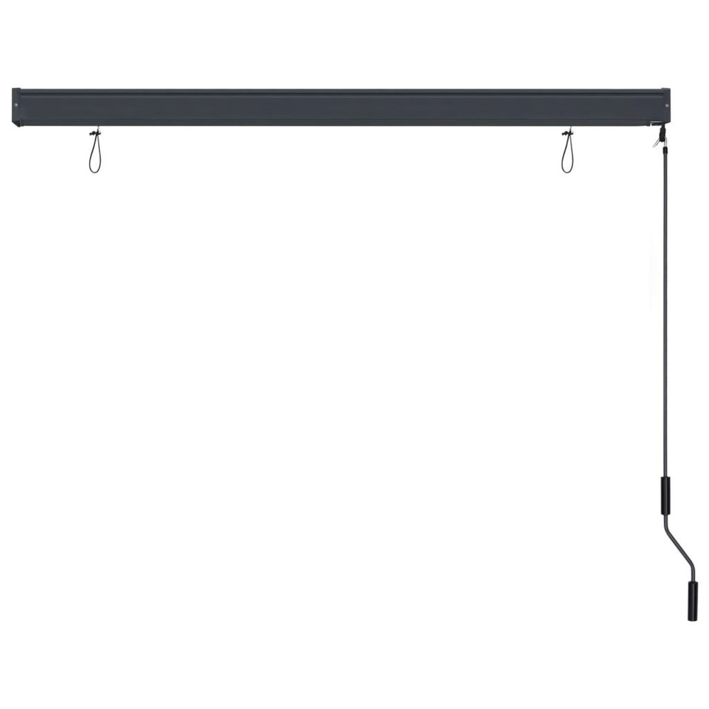 Roller Shade Anthracite Polyester 63.0 x 98.4 in Retractable