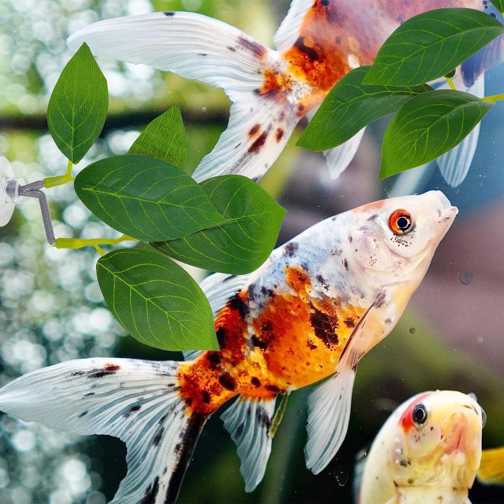 Thinp 3 Pack Betta Fish Leaf Pad, one size, Green, Transparent