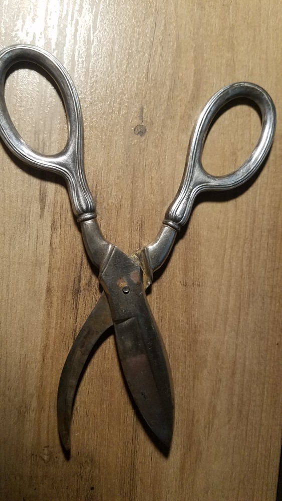 Germany-VTG Sterling Handled Shears-Curved Blade