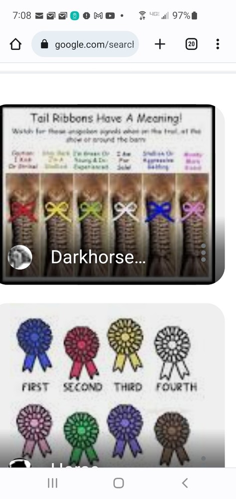 Custom TAIL RIBBONS for Show or trail