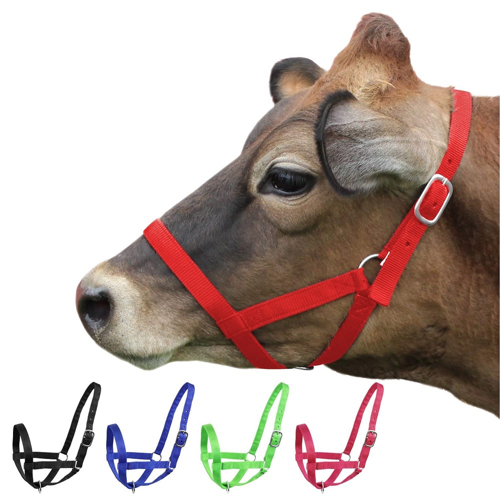 Durable Adjustable Nylon Cattle Halter For All Breeds Multiple Colors Available