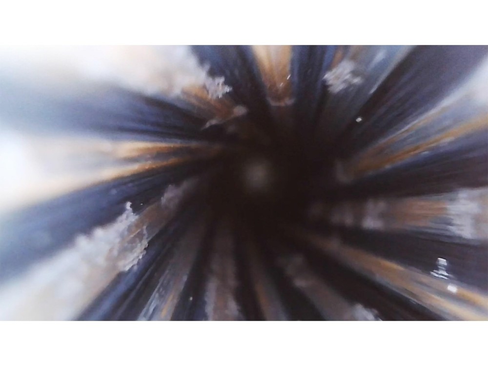 Lyman Borecam 2.0 : Wireless Bore Camera