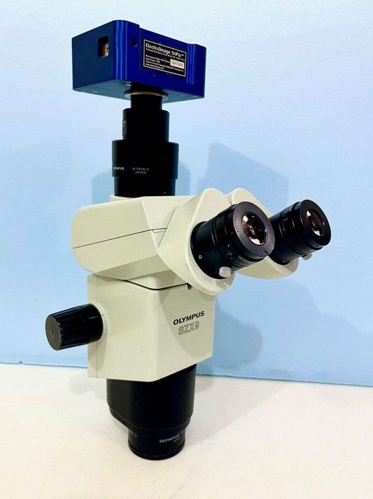 OLYMPUS SZX9 Microscope, DHL Ship World Wide