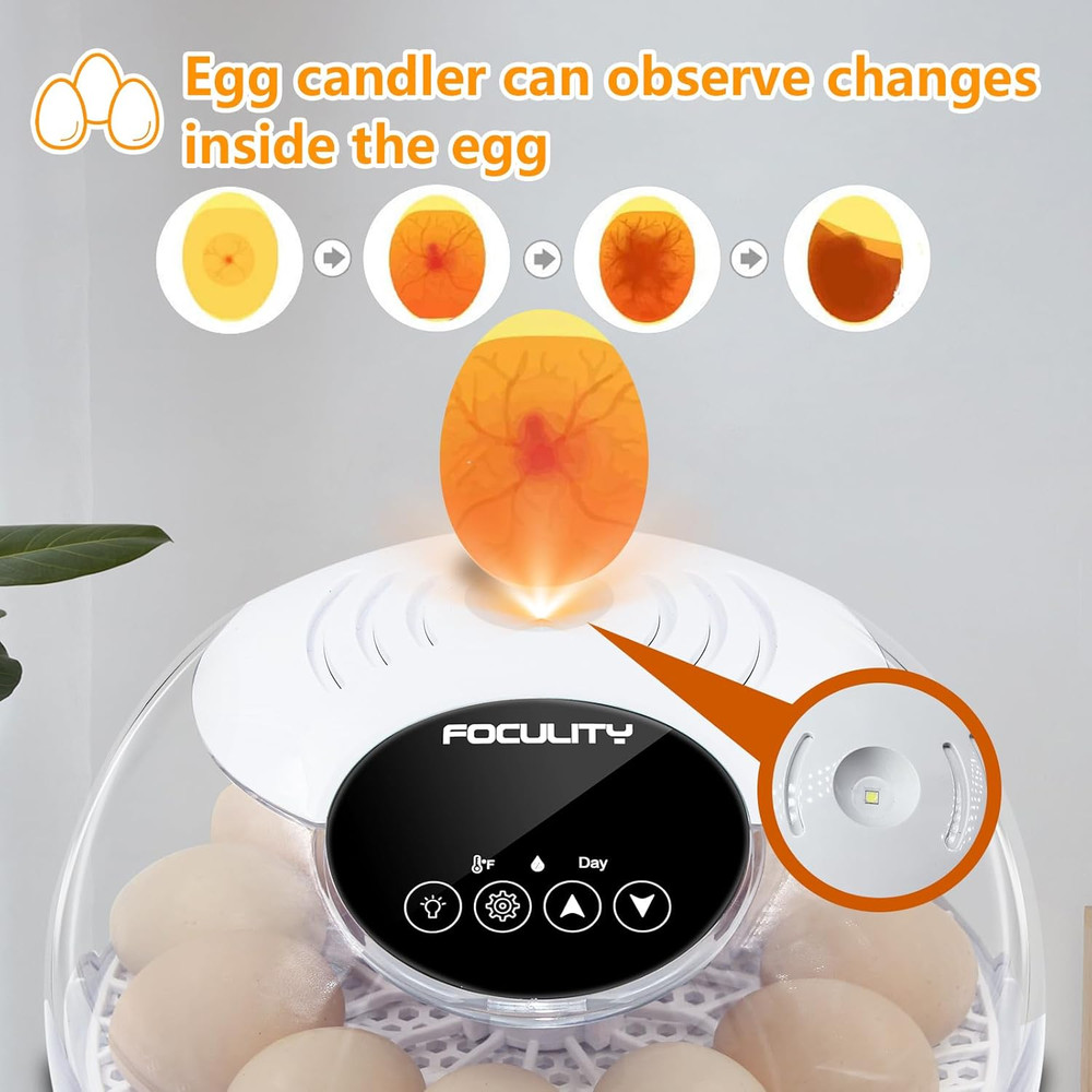 Egg Incubators for Hatching Eggs with Smart Automatic Turning Small Poultry Duck