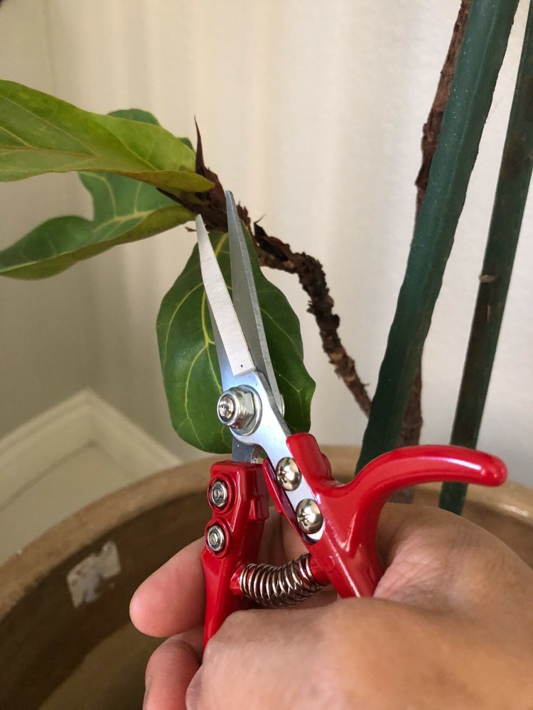 2 - pack Q-yard Pruning Shear, Mini-Trimmer Extra Sharp Garden Hand Pruners,