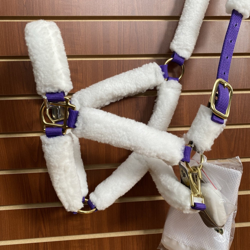 CENTAUR Shipping Halter Size Full