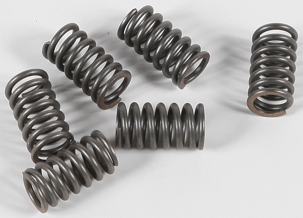 EBC CSK Clutch Spring Kit CSK31