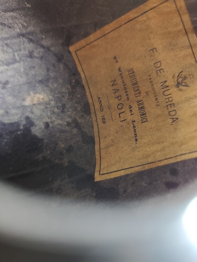 Mandolin 4/4 F. De Mureda 1890 Naples 曼陀林 만돌린マンドリン