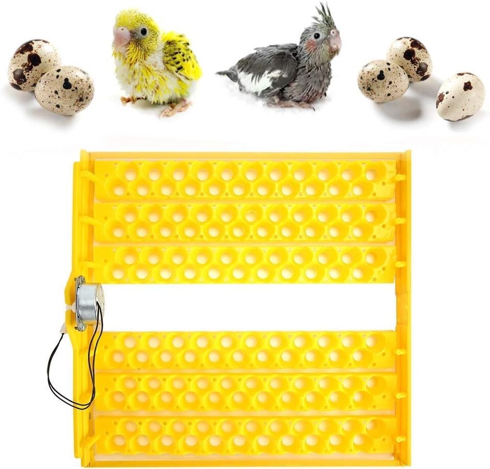 132 pcs Egg Incubator Tray and Automatic Egg Turning Tray for 110V Automatic ...