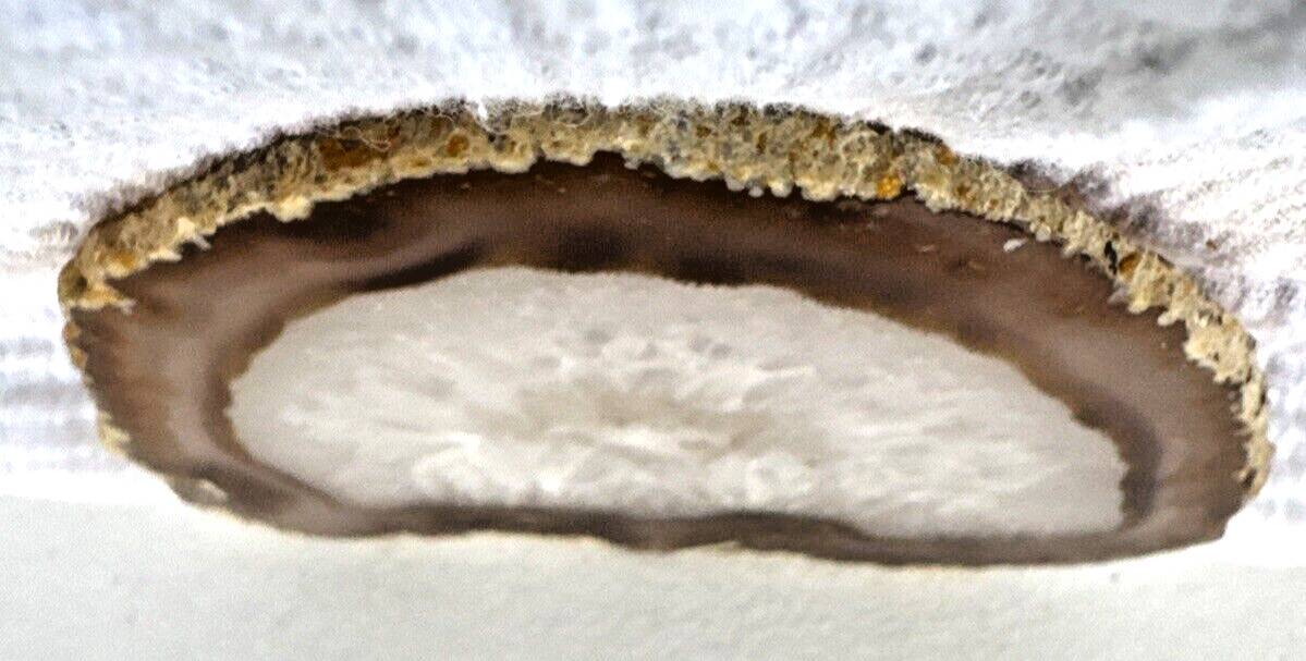 Beautiful Earth Tone Geode Slice Polished Natural Geode Mineral Rock Stone 5” W