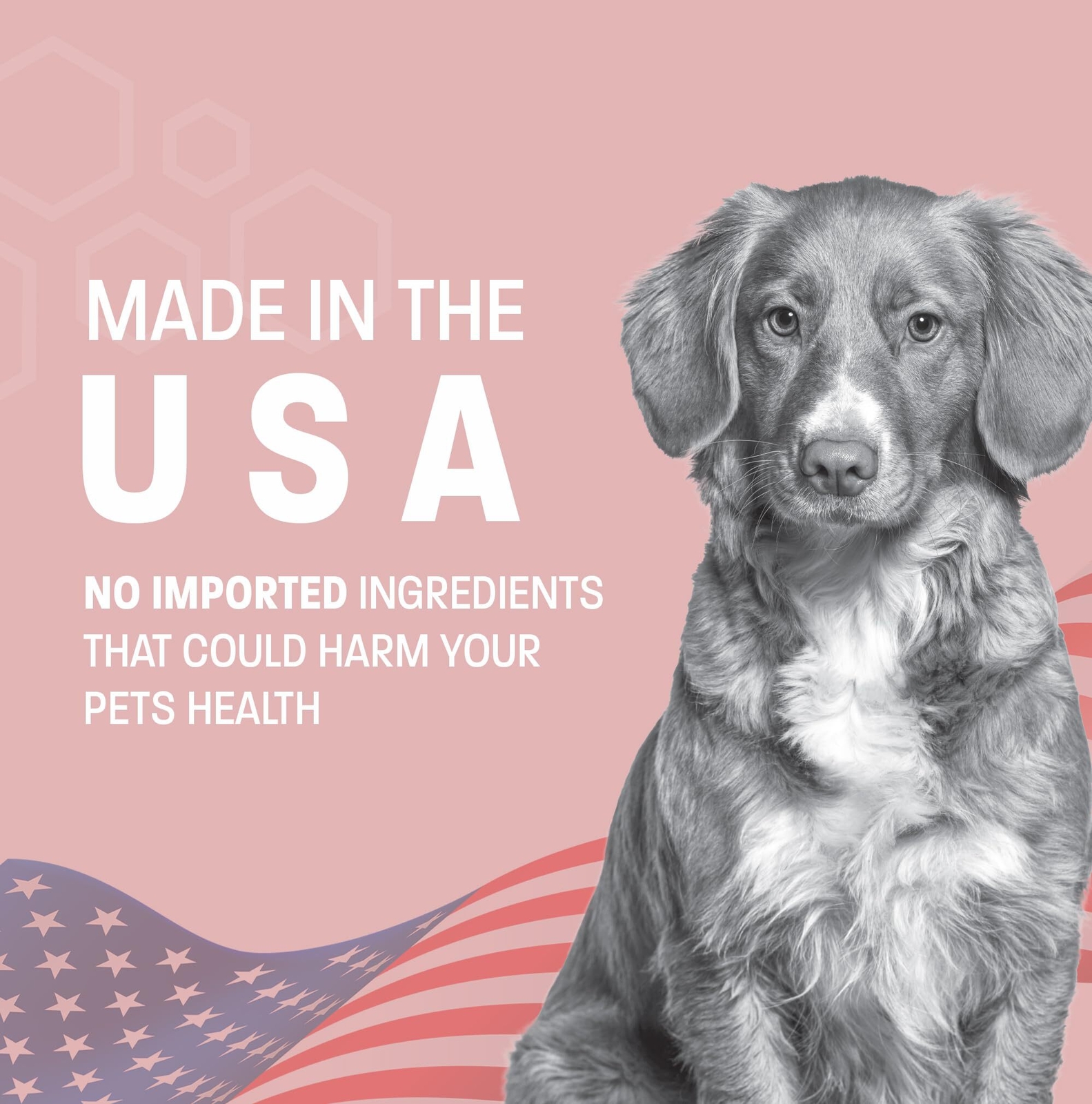 New Pet Health Pros No Chew Spray for Dogs and Cats - Deterrent Spray - 8 OZ