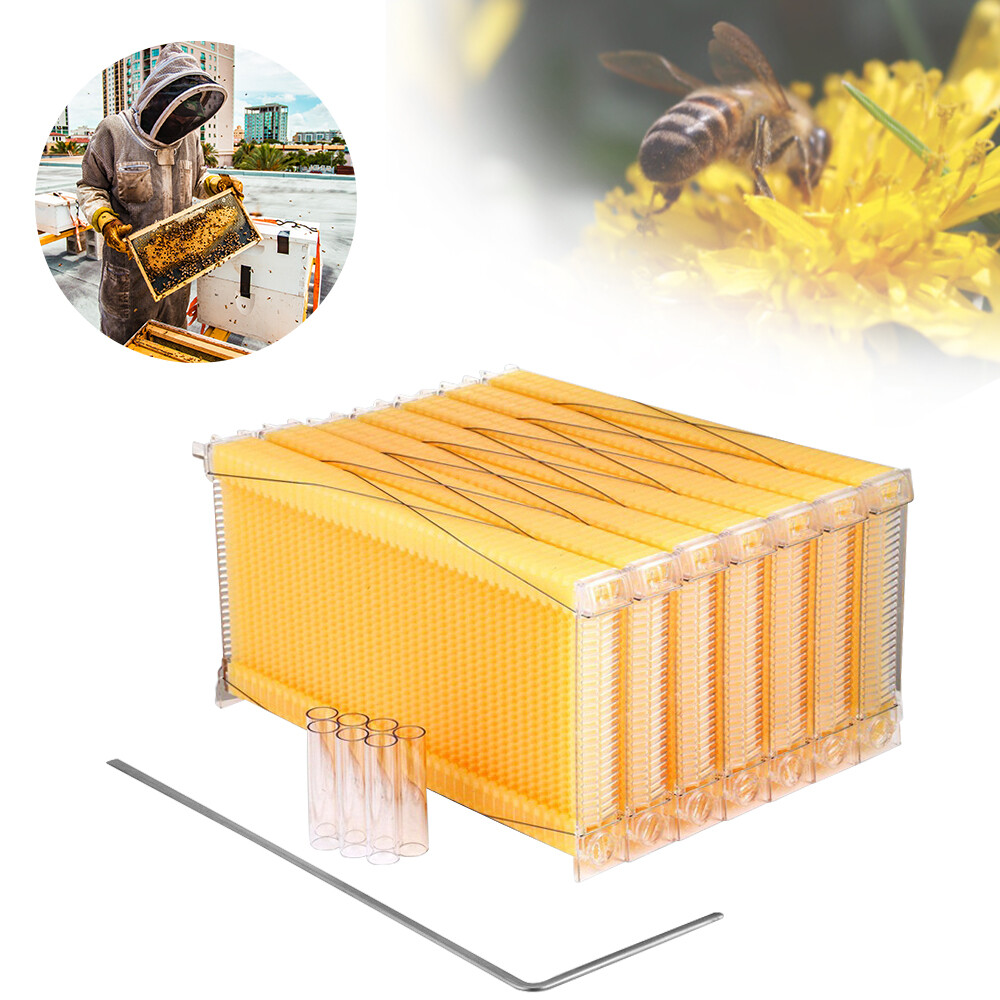 7x Auto Plastic Beekeeping Frames Honey Comb Frames For Beehive House Boxes US