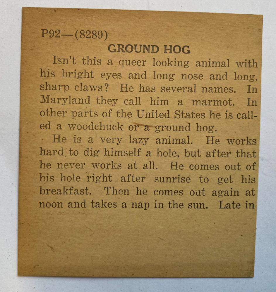 KEYSTONE MAGIC LANTERN SLIDE 92 GROUND HOG 1920s