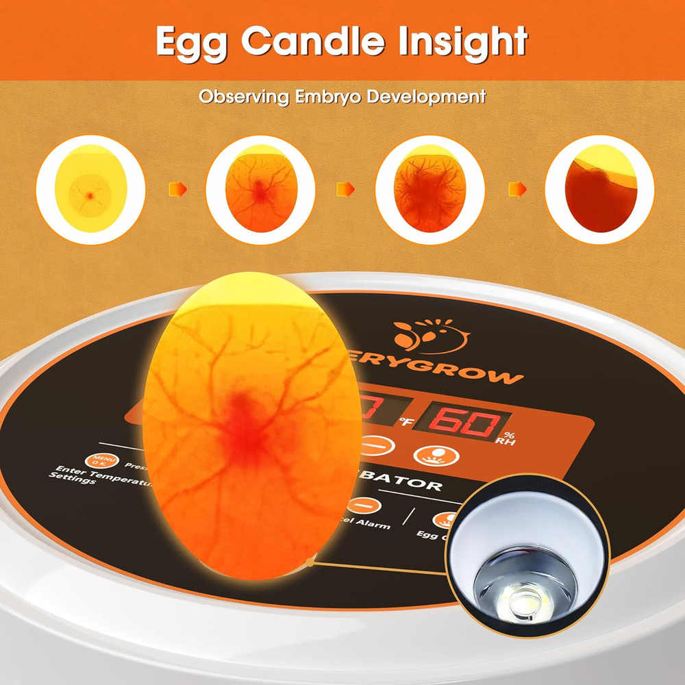 Smart 22 Egg Incubator with Auto Turning & Humidity Control for Hatching