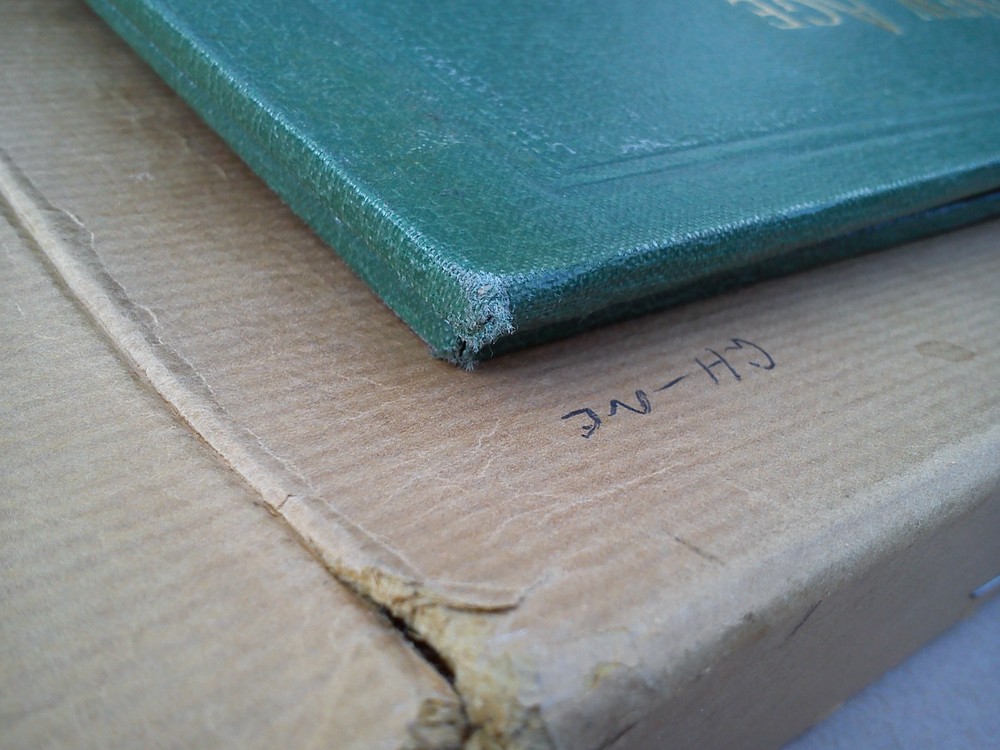 Stanley Gibbons Springback New Age Stamp Album Folder Binder Storage Green EMPTY